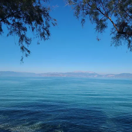 Апартаменты An Oasis By The *